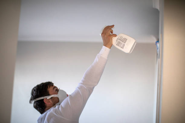 Best Mold Removal Company Near Me  in Tillamook, OR