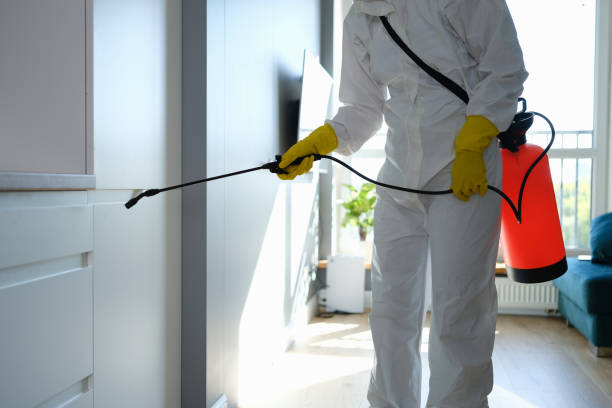 Best Professional Mold Removal  in Tillamook, OR