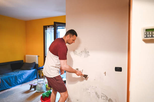 Best Local Mold Removal Service  in Tillamook, OR