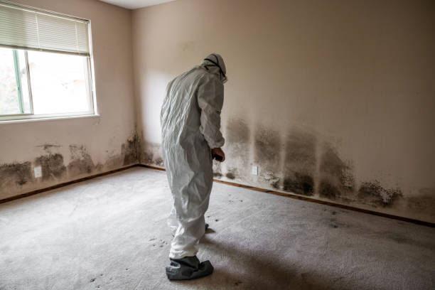Best Mold Testing  in Tillamook, OR